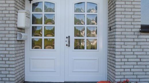Kunststoff-Haustür weis mit Sprossenfenster und identischer Verglasung linksseitig in Neuss